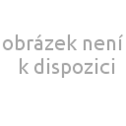 Obrázek pro produkt Dekorační  polštář bavlněný beránek⌀20X50cm
